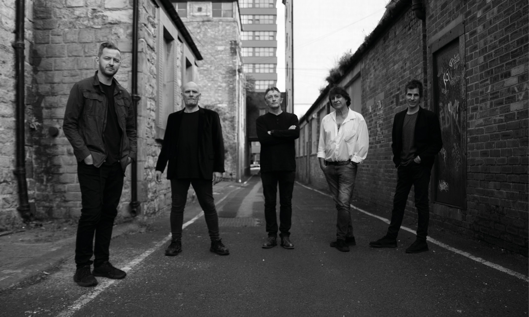 THE CHAMELEONS