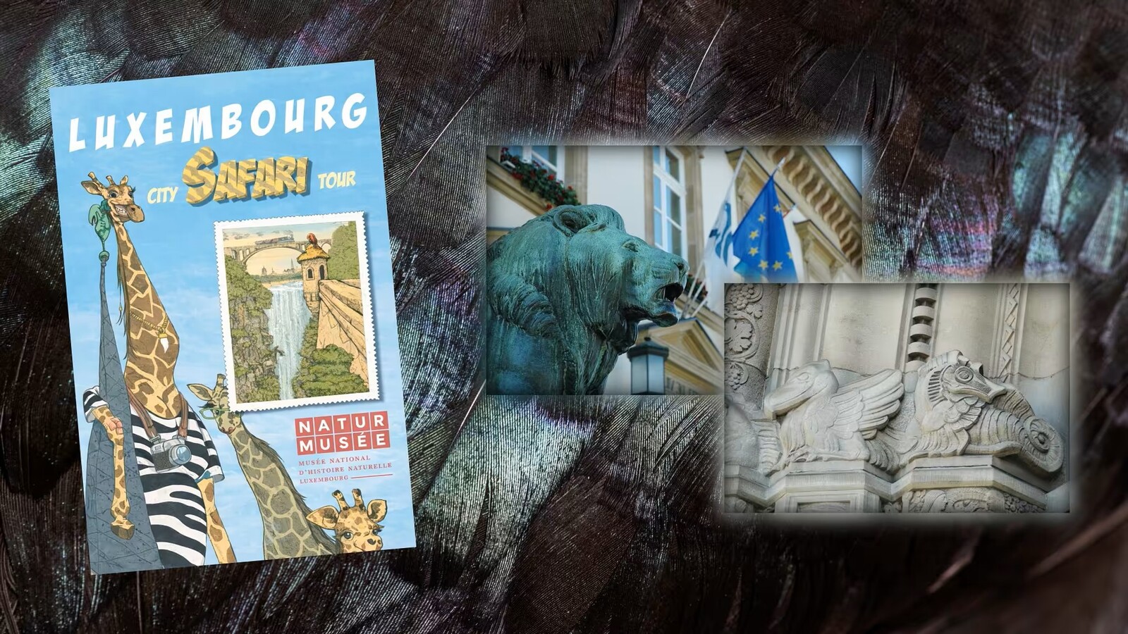 Luxembourg City Safari Tour - Erleben Sie wilde Tiere in Luxemburg